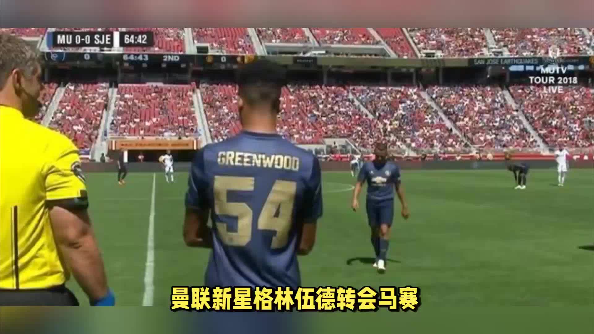 种截然不